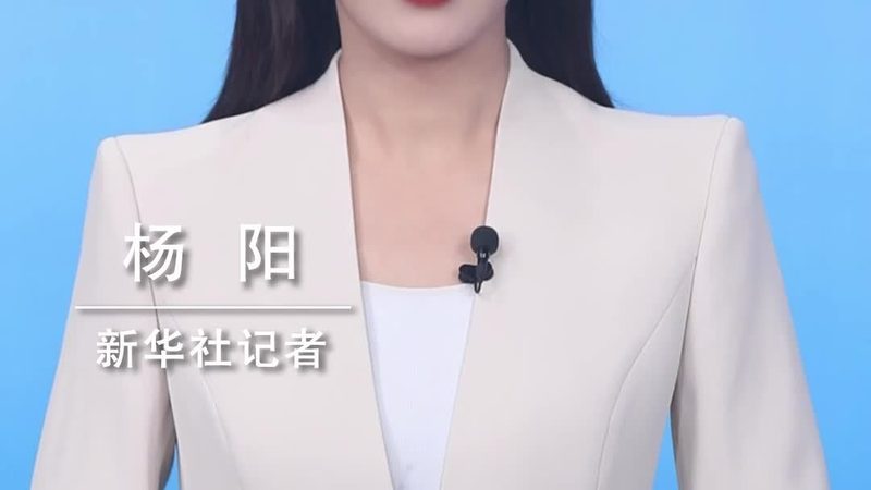 供应链管理软件：核心功能与价值解析**